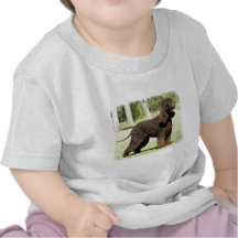 Irish Water Spaniel 9R032D-232 T Shirts