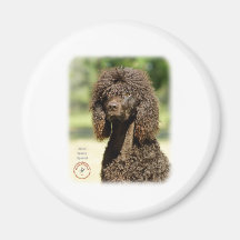 Irish Water Spaniel 9R032D-363 Fridge Magnet