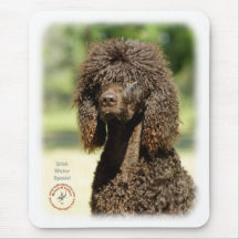 Irish Water Spaniel 9R032D-363 Mouse Mats