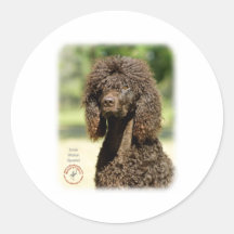 Irish Water Spaniel 9R032D-363 Stickers