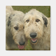 Irish Wolfhound Refrigerator Magnets