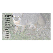 Island Fox Business Card Template