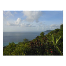 Island Paradise Rain Forest and Ocean Photograph