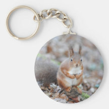 Isle of Wight Red Squirrel Keychains