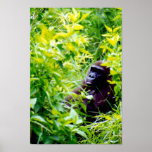 It is weird to be a big monkey. posters