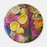 Italian Coloured Pasta Shapes (1) Refrigerator Magnets