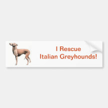 Italian Greyhound Bumper Stickers