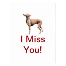 Italian Greyhound Post Card