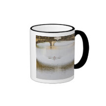 Italy, Florence, Rowing Sculls with Coffee Mug
