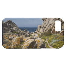 Italy, Sardinia, Santa Teresa Gallura. Capo 2 iPhone 5 Cover
