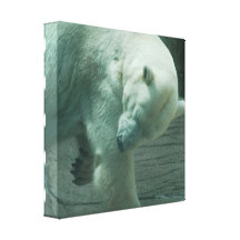 Itchy Polar Bear Canvas Print