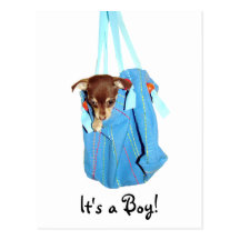 It's a boy! post cards