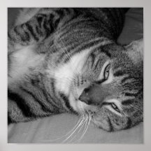 It's nap time! poster