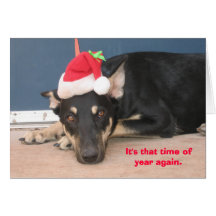 It's That Time of Year Again Cards