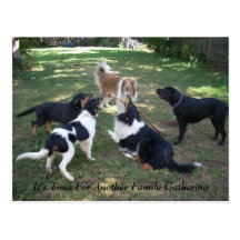 It's Time For Another Family Gathering Post Cards