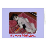 It's your birthday... card