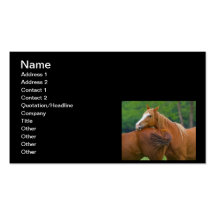 I've Got Your Back Business Cards