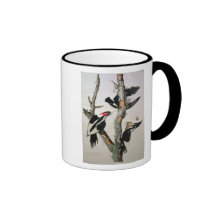 Ivory-billed Woodpecker, from 'Birds of America' Mugs