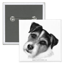 Jack (Parson) Russell Terrier Pin
