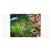 Jack Russell in my Flowers Photo Greeting Card