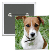 Jack Russell Terrier Button