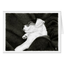 Jack Russell Terrier Card -  "Bliss"