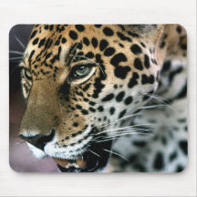 Jaguar#4-Mousepad
