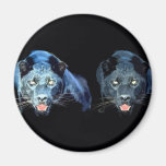 Jaguar - Black Panther Magnets