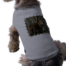 Jaguar Cat  Pet Shirt