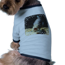 Jaguar Cichlid Pet T-shirt