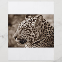 Jaguar Photo Custom Flyer