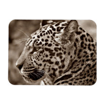 Jaguar Photo Flexible Magnets