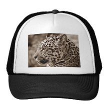 Jaguar Photo Mesh Hat