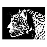 Jaguar Postcard