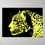Jaguar Poster Print - Jaguar Posters