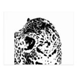 Jaguar Roaring Postcard