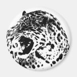 Jaguar Roaring Refrigerator Magnet