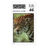 jaguar stamps