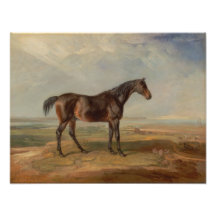 James Ward - Dr. Syntax, a Bay Racehorse Photo Print