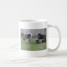 Jampo & Saffie Mugs