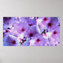 Japanese Blossom Collection Posters