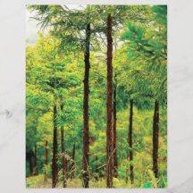 Japanese Cedar woods Flyer