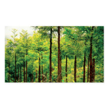 Japanese Cedar woods - Pocket calendar Business Card Template