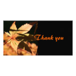 Japanese Maple (2) - Thank you Photo Cards