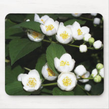 jasmin mouse pads