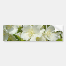 Jasmine Bush Bumper Sticker