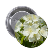 Jasmine Bush Buttons