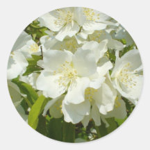 Jasmine Bush Round Sticker