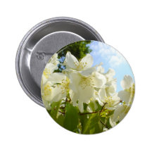 Jasmine Flowers Pins