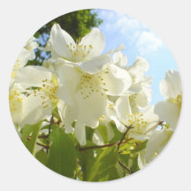 Jasmine Flowers Sticker
